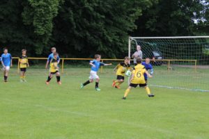 IMG_3552