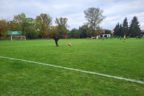 Drahelice/Kovanice – FK Litol  3:0 (12.10.2025)