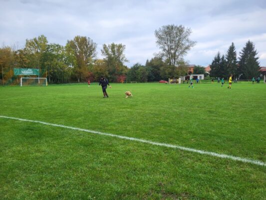Drahelice/Kovanice – FK Litol  3:0 (12.10.2025)